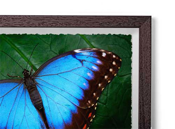 Charcoal - Box Classic Wood Frame