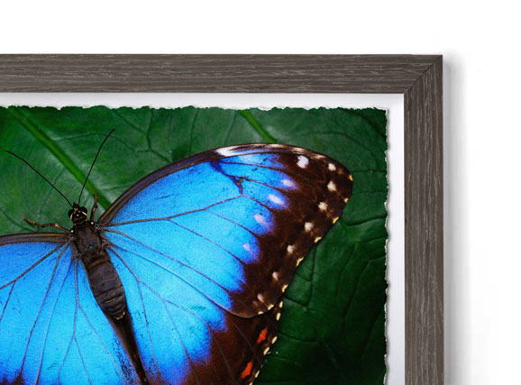 Natural Dusk - Box Modern Frame