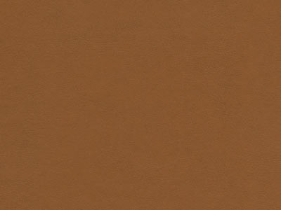 Leatherette Honey