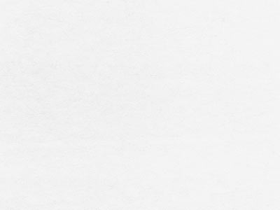 Leatherette White