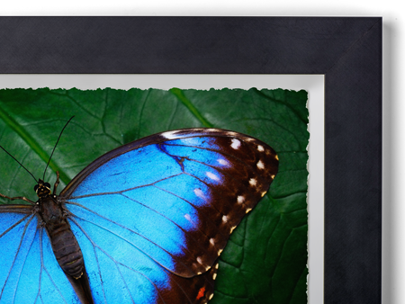 Framed Deckle Edge Fine Art Inkjet Prints