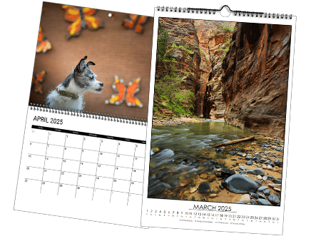 Press Printed Calendars